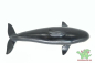 Preview: Schleich  Orka 16071